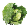 LOCAL ORGANIC GREEN CABBAGE