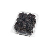 12 pack - Blackberry / Box