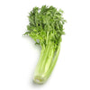 1 PCS - PREMIUM FRESH Celery