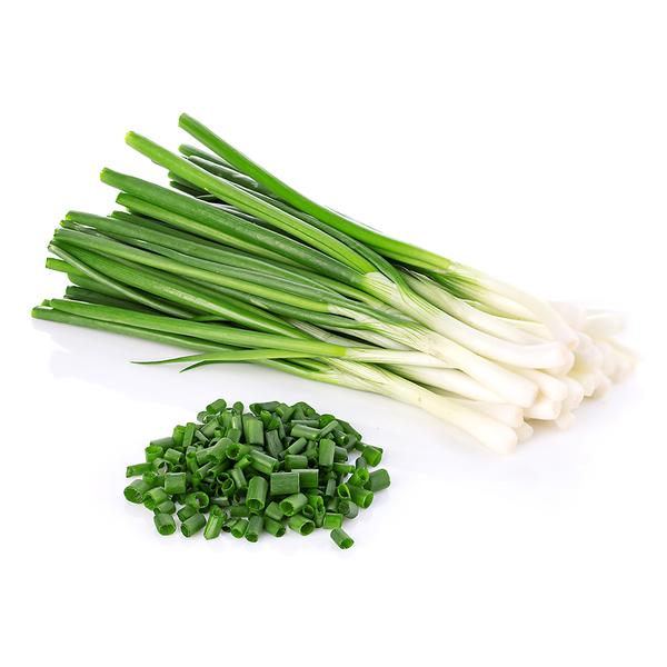 1pc Food Storage Container For Green Onion