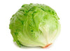 FRESH Head Lettuce