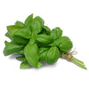 Herb-Fresh Basil Bunch