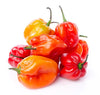 1lb - Habanero Peppers