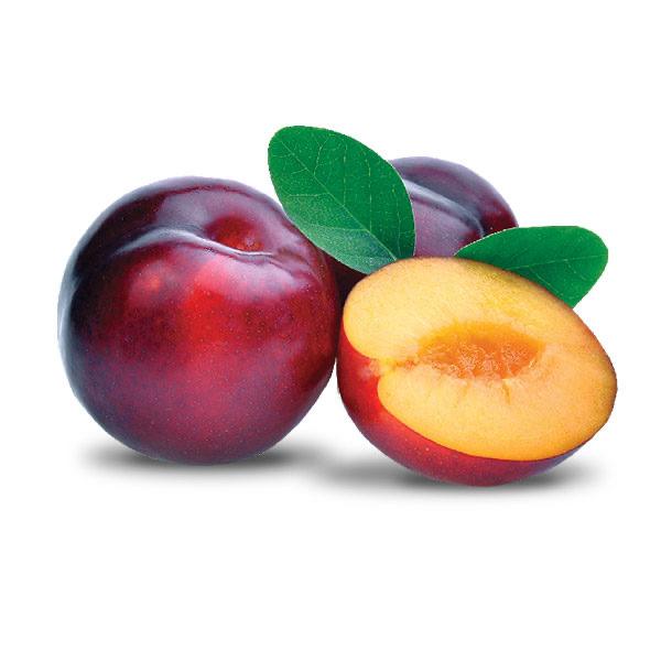 1 lb - Sweet Plum