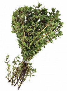 Herb - Thyme